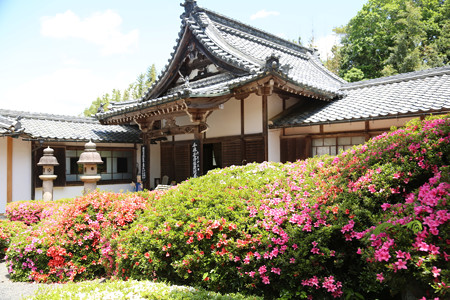 雲迎寺 (2)