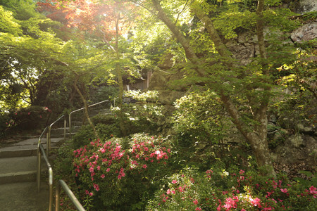 八幡山城 (2)