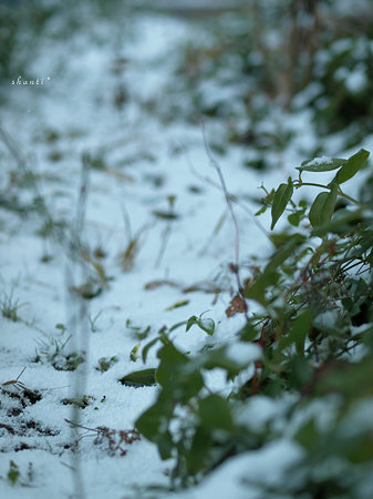 first snow