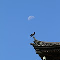 残月