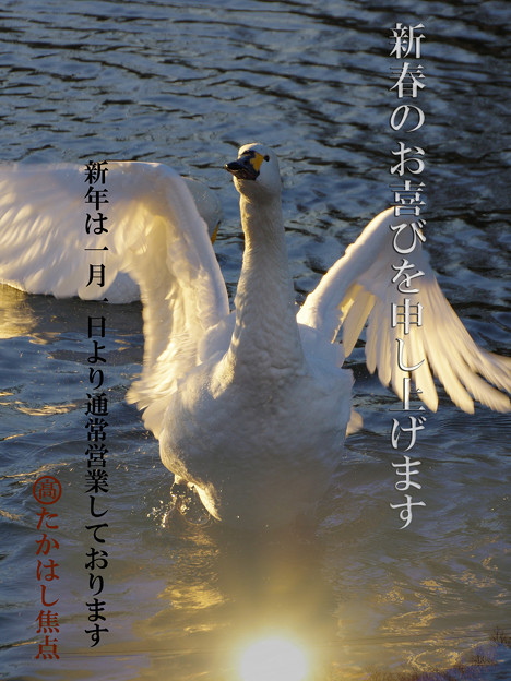 本年もよろしくお願いします。