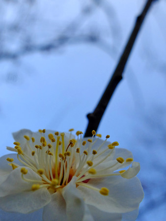 DSCF5330