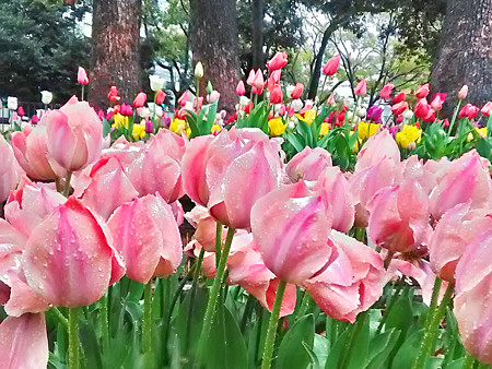 P_20170411_173721_HDR