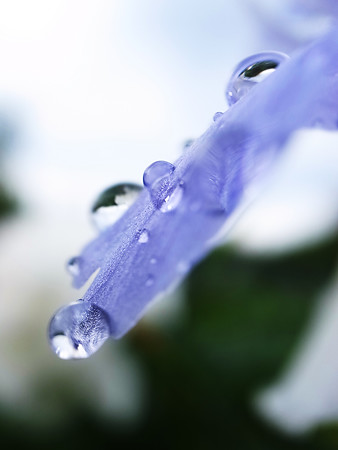 R0033351 R0033351