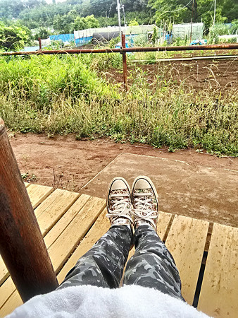 P_20170625_150628_HDR