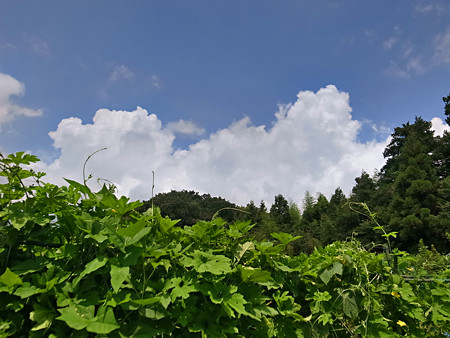 R0037211
