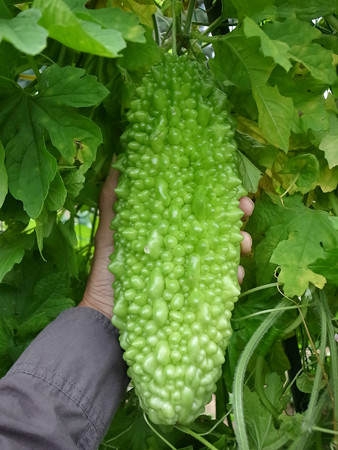 R0037309