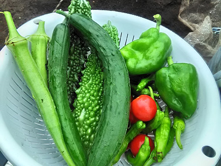 P_20170815_100403_HDR