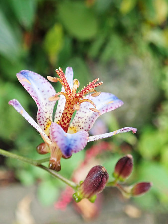 P9240376