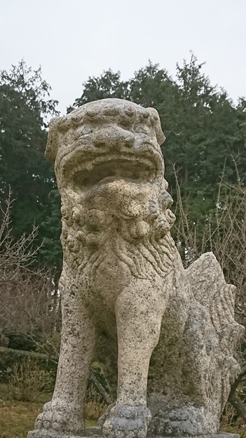 コマさん