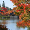 Photos: 171107_07_日本庭園の様子・S18200(昭和記念公園) (22)