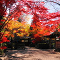 rs-171121_68_中門辺りの紅葉・S18200(平林寺) (7)