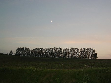 IMGP5623