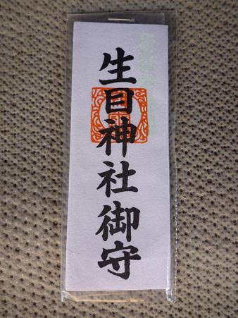 P1030247
