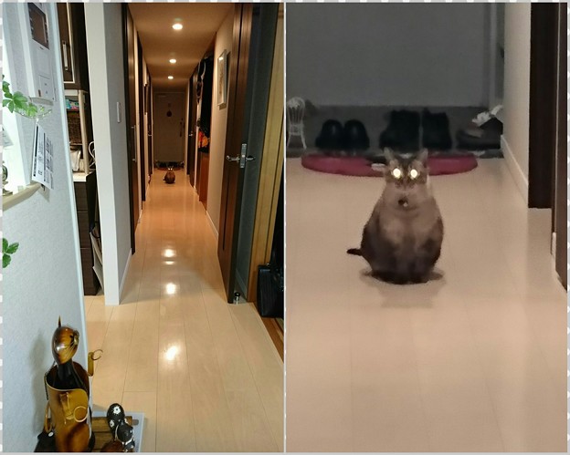 正体あらわした