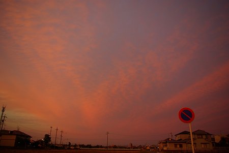 IMGP6417.JPG駐禁
