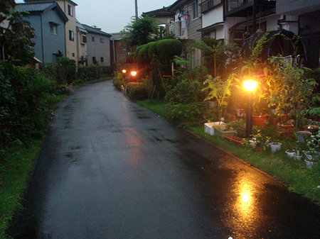 雨に降られてリハ散歩