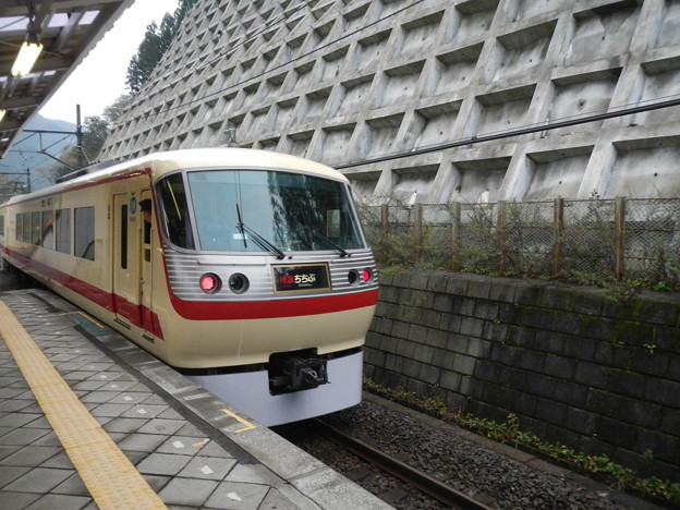 Seibu 10000 special livery
