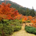 DSCF5848s-
