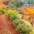 DSCF5857s-
