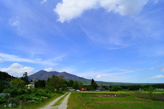 春の山