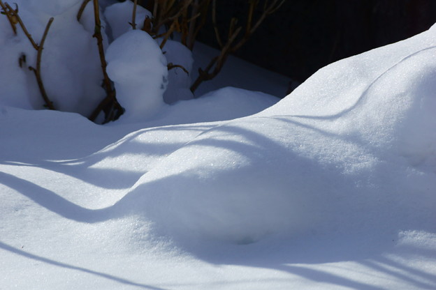 雪の記憶
