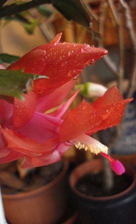 DSC07308
