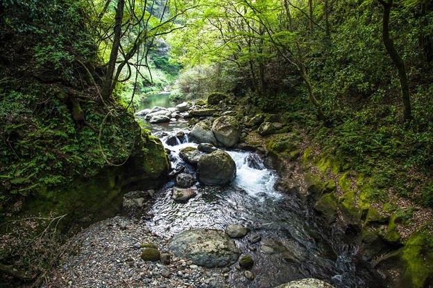 _MG_5462_R