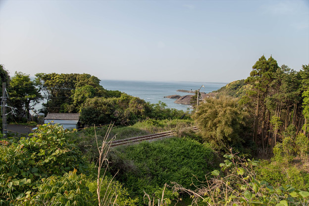_MG_5515_R