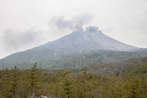 _MG_5849_R