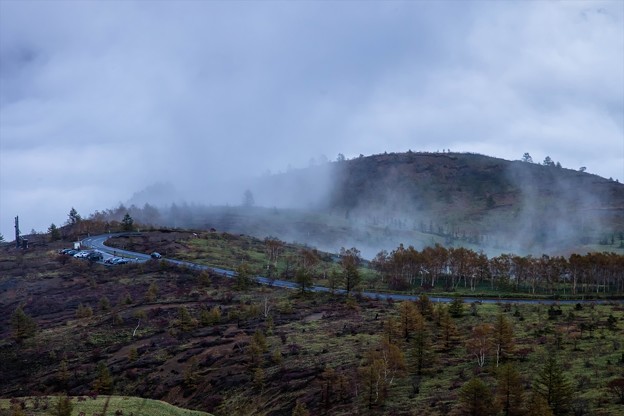 _MG_0570