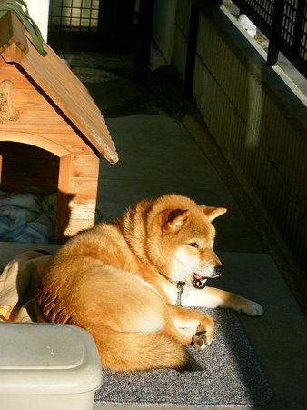2010_01270027