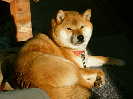 2010_01270029