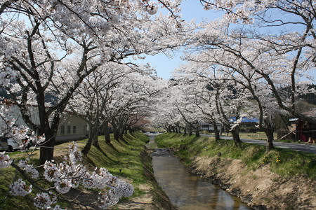 川渡温泉湯沢川堤防