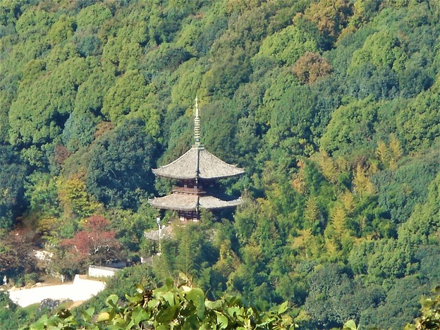 秋の西國寺三重塔＠浄土寺山山頂からの眺望