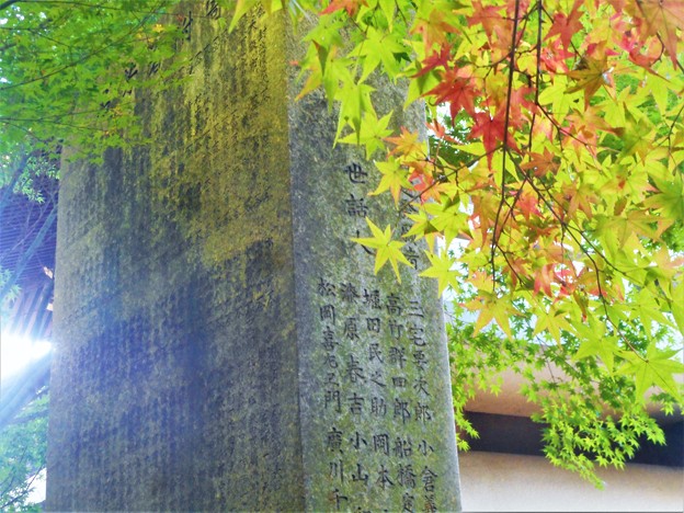 Photos: 苔むす薬師堂再建碑と紅葉＠浄土寺山