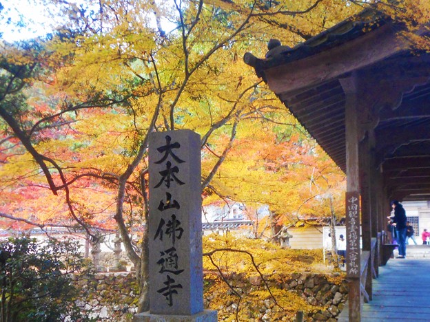大本山佛通寺の秋