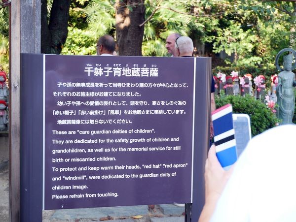 写真: 29