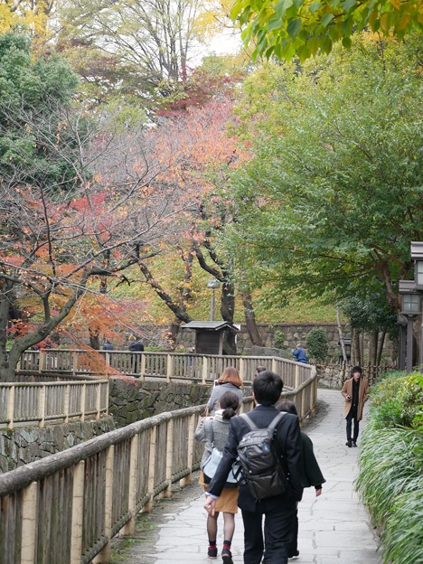 写真: 2