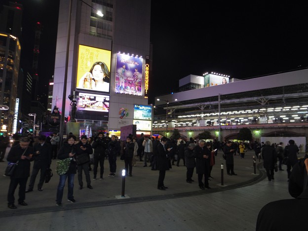 写真: 11