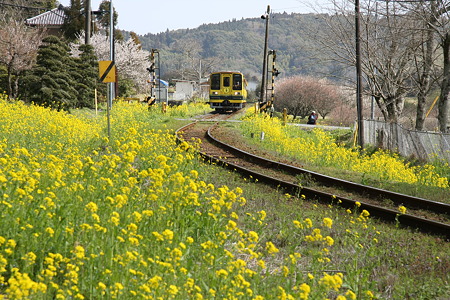 黄色の踏切、黄色の電車、黄色の道
