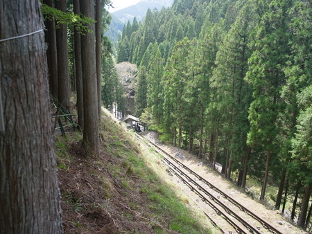 R0059880