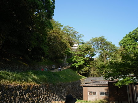 R0060205