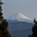 ２０１４年富幕山へ今年☆トミー１０２回登頂\(^o^)／