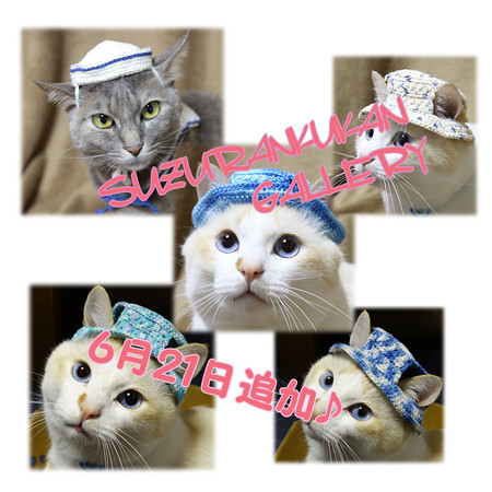 ミンネに追加♪