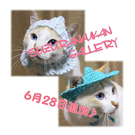 ミンネに追加♪