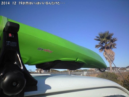 2014-12-19お魚はいっぱいいるんだけど・・・ (1)