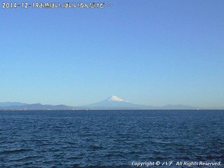 2014-12-19お魚はいっぱいいるんだけど・・・ (2)