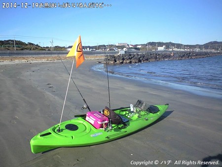 2014-12-19お魚はいっぱいいるんだけど・・・ (3)