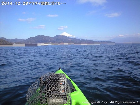 2014-12-28アマダイ調査に行くも・・・ (2)